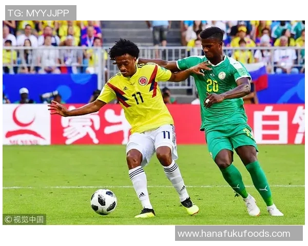 聚焦绿茵传奇解读足坛巨星辉煌荣誉与成就全景展现 聚焦绿茵传奇解读足坛巨星辉煌荣誉与成就全景展现